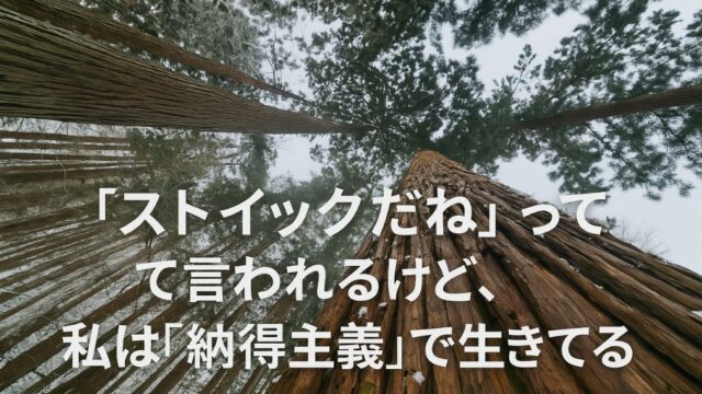 山寺　木