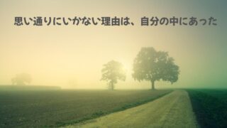 朝 もや 霧 木 1本道