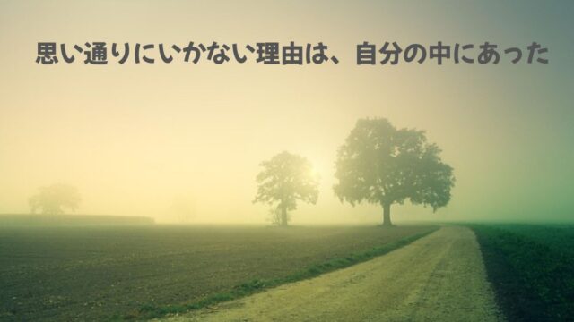 朝 もや 霧 木 1本道